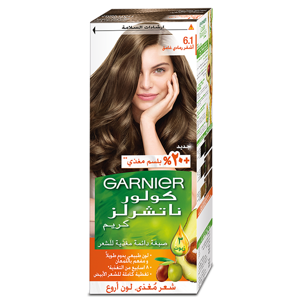 غارنييه صبغه شعر طبيعيه 6 1 اشقر رمادي غامق